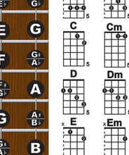 Load image into Gallery viewer, Plectrum Banjo Fretboard and Chord Poster