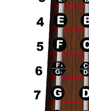 Load image into Gallery viewer, Viola Fingerboard Poster – Nashville Numbers & Circle of 5ths Charts