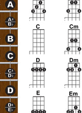 Load image into Gallery viewer, Banjo Open C Tuning Fretboard, Chord & Rolls Poster for Travel or Mini Banjos