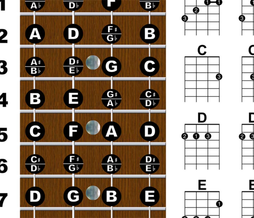 Easy Ukulele Chord Chart & Notes Poster - Various Colors – A New