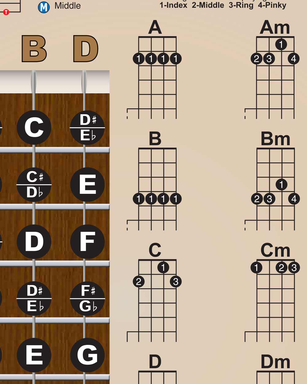 Banjo Poster - Chords Rolls Fretboard Notes - Americana - Open G Tunin – A New Song Music ® banjo-poster-chords-rolls-fretboard-notes-americana-open-g-tunin-a-new-song-music