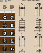 Load image into Gallery viewer, Banjo Poster - Chords Rolls Fretboard Notes - Americana - Open G Tuning Easy Beginner Instructional Chart | A New Song Music