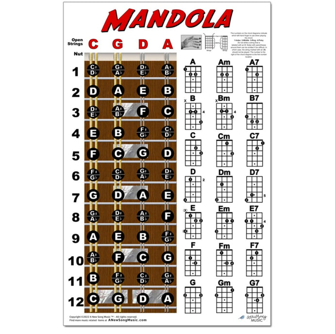 Mandola Fretboard and Chord Poster