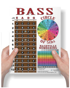 4 String Bass Fretboard Poster – Multi Color - Nashville Numbers & Circle of 5ths Charts