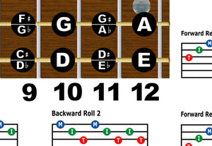 Dobro A Tuning Fretboard, Chord & Rolls Poster