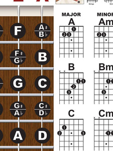 Guitalele - 6 String Nylon Ukulele / Guitar Fretboard and Chord Poster