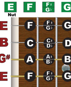 Guitar fretboard with letter names on each string