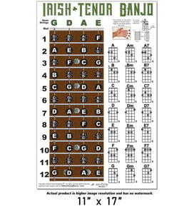 Irish Tenor Banjo Fretboard and Chord Poster