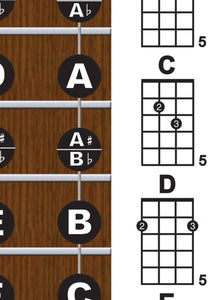 Irish Tenor Banjo Fretboard and Chord Poster