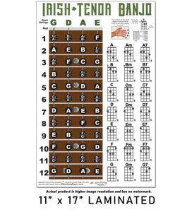 Irish Tenor Banjo Fretboard and Chord Poster