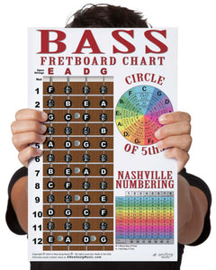 4 String Bass Fretboard Poster – Multi Color - Nashville Numbers & Circle of 5ths Charts