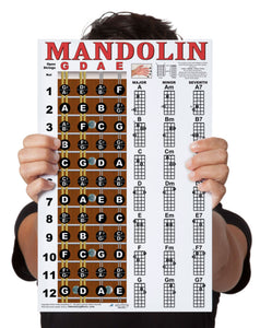 Mandolin Fretboard and Chord Poster