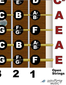 Guitar fretboard with labeled strings and open strings on a white background