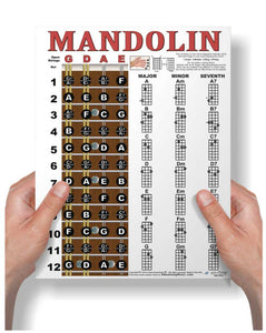 Mandolin Fretboard and Chord Poster