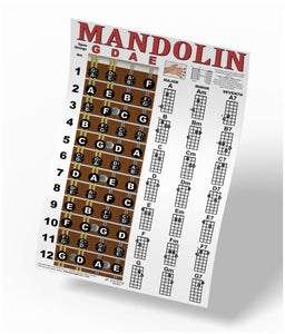 Mandolin Fretboard and Chord Poster