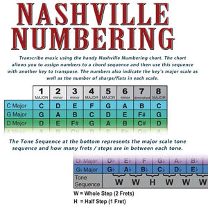 5 String Bass Fretboard Poster – MULTI COLOR -  Nashville Numbers & Circle of 5ths Charts