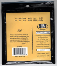 Load image into Gallery viewer, S.I.T. Lap Steel Guitar Strings | Ath 6 String (15-34 ) SC6A6TH | Nickel Semi-Flat wound Non-Pedal Guitar Strings