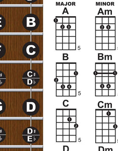 Tenor Banjo Fretboard and Chord Poster