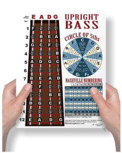 Upright Bass Fingerboard Poster – Nashville Numbers & Circle of 5ths Chart