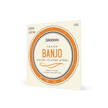 Load image into Gallery viewer, D'Addario Tenor Banjo Strings | EJ63 4 String Medium Loop End Nickel (9-30)