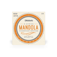 Load image into Gallery viewer, D'Addario Mandola Strings | 8 String Loop End Phosphor Bronze Strings