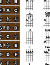 Load image into Gallery viewer, Banjo Open D Tuning Fretboard, Chord &amp; Rolls Poster for Travel or Mini Banjos