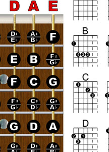 Left Handed Guitar Fretboard and Chord Poster