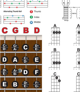 Banjo Standard C-Tuning Fretboard & Chords Poster