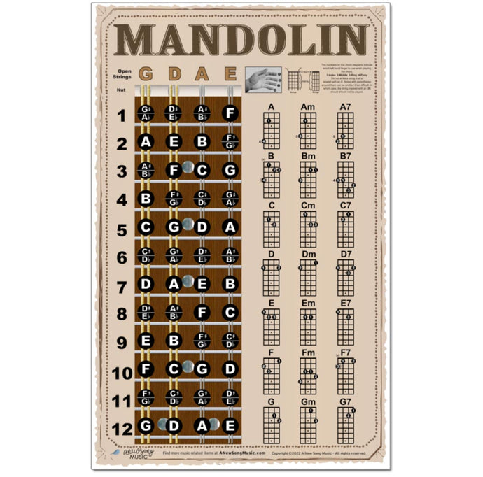 Mandolin Americana Style Fretboard and Chord Poster