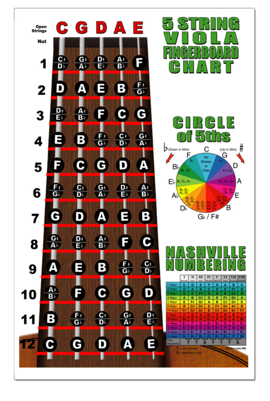 String Color Guide Violin String Color Chart Chorda Gut Upright Bass Strings