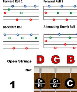 80lb Glossy Cover Stock 837654692653 Laminated Glossy Cover Stock 715706752404 © 2022, A New Song Music ™ Made in the USA banjo bango banjer Poster chart easy chords chord notes note frets fretboard rolls roll beginner beginning learn how play instruction wall bluegrass how 5 string strings beginning book map reference roadmap clawhammer frailing 3 finger scruggs kids usa america 