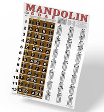 Load image into Gallery viewer, Mandolin Fretboard and Chord Poster