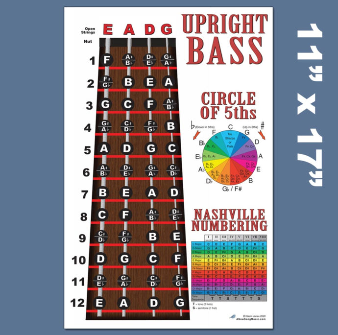 Upright Bass Fingerboard Poster – Nashville Numbers & Circle of 5ths Charts